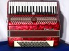 Parrot 41 120 red accordion